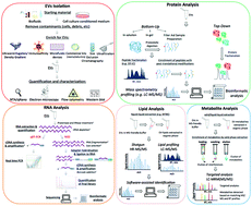 Graphical abstract: Technical challenges of working with extracellular vesicles