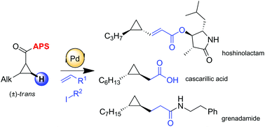 Graphical abstract: Stereospecific C–H activation as a key step for the asymmetric synthesis of various biologically active cyclopropanes