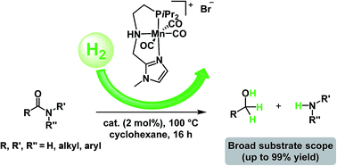 Graphical abstract: Efficient and selective hydrogenation of amides to alcohols and amines using a well-defined manganese–PNN pincer complex