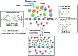 Graphical abstract: Antifouling, fouling release and antimicrobial materials for surface modification of reverse osmosis and nanofiltration membranes