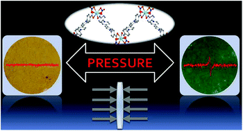 Graphical abstract: Coordination-modulated piezochromism in metal–viologen materials