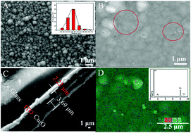 Graphical abstract: A PPy/Cu2O molecularly imprinted composite film-based visible light-responsive photoelectrochemical sensor for microcystin-LR