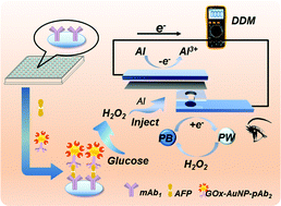 Graphical abstract: A new enzyme immunoassay for alpha-fetoprotein in a separate setup coupling an aluminium/Prussian blue-based self-powered electrochromic display with a digital multimeter readout