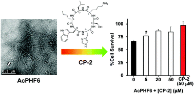 Graphical abstract: Inhibition of tau-derived hexapeptide aggregation and toxicity by a self-assembled cyclic d,l-α-peptide conformational inhibitor
