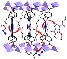 Graphical abstract: Confinement of Fe–Al-PMOF catalytic sites favours the formation of pyrazoline from ethyl diazoacetate with an unusual sharp increase of selectivity upon recycling