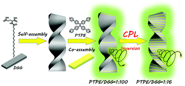 Graphical abstract: Stoichiometry-controlled inversion of circularly polarized luminescence in co-assembly of chiral gelators with an achiral tetraphenylethylene derivative