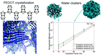 Graphical abstract: Morphology and ion diffusion in PEDOT:Tos. A coarse grained molecular dynamics simulation