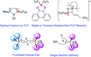 Graphical abstract: Radicals derived from Lewis acid/base pairs