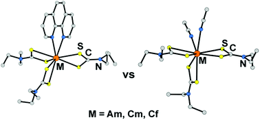 Graphical abstract: A series of dithiocarbamates for americium, curium, and californium