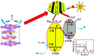Graphical abstract: In situ topotactic formation of 2D/2D direct Z-scheme Cu2S/Zn0.67Cd0.33S in-plane intergrowth nanosheet heterojunctions for enhanced photocatalytic hydrogen production