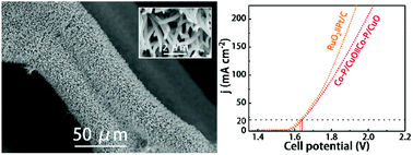 Graphical abstract: Enhancement of alkaline water splitting activity by Co–P coating on a copper oxide nanowire
