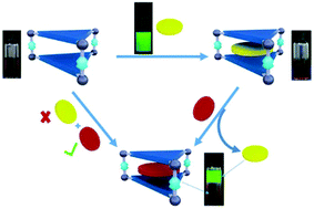 Graphical abstract: On/off fluorescence emission induced by encapsulation, exchange and reversible encapsulation of a BODIPY-guest in self-assembled organometallic cages