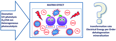 Graphical abstract: Comparison of advanced oxidation processes in the decomposition of diuron and monuron – efficiency, intermediates, electrical energy per order and the effect of various matrices