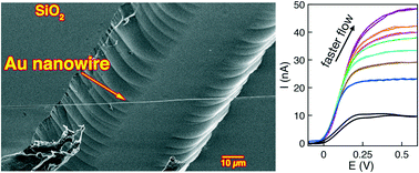 Graphical abstract: Electrochemical sensing with single nanoskived gold nanowires bisecting a microchannel