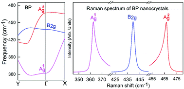 Graphical abstract: The phonon confinement effect in two-dimensional nanocrystals of black phosphorus with anisotropic phonon dispersions