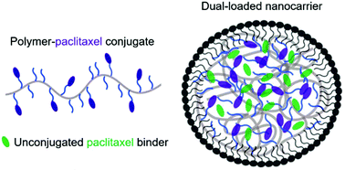 Graphical abstract: Reinforcement of polymeric nanoassemblies for ultra-high drug loadings, modulation of stiffness and release kinetics, and sustained therapeutic efficacy