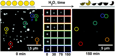 Graphical abstract: Time-dependent luminescence loss for individual upconversion nanoparticles upon dilution in aqueous solution