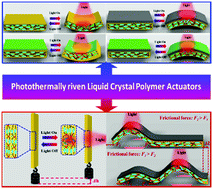 Graphical abstract: Photothermally driven liquid crystal polymer actuators