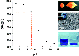 Graphical abstract: Adsorption of Reactive Blue 19 from aqueous solution by chitin nanofiber-/nanowhisker-based hydrogels