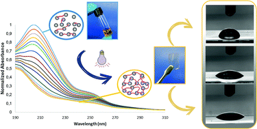 Graphical abstract: Photo-curable poly-(ethylene glycol)–fumarate elastomers with controlled structural composition and their evaluation as eluting systems