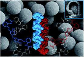 Graphical abstract: Organic core–shell-shaped micro/nanoparticles from twisted macrocycles in Schiff base reaction