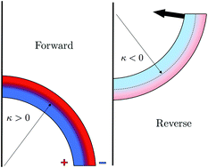 Graphical abstract: Theory of polymer-electrolyte-composite electroactuator sensors with flat or volume-filling electrodes