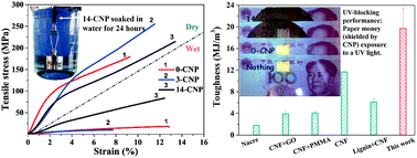 Graphical abstract: Flexible cellulose nanopaper with high wet tensile strength, high toughness and tunable ultraviolet blocking ability fabricated from tobacco stalk via a sustainable method