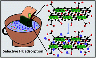 Graphical abstract: Selective and ppb level removal of Hg(ii) from water: synergistic role of graphene oxide and SnS2