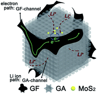 Graphical abstract: Rational design of a 3D MoS2/dual-channel graphene framework hybrid as a free-standing electrode for enhanced lithium storage