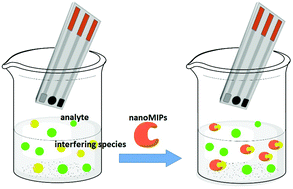 Graphical abstract: NanoMIP-based approach for the suppression of interference signals in electrochemical sensors