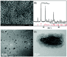 Graphical abstract: Design and synthesis of a vanadate-based ratiometric fluorescent probe for sequential recognition of Cu2+ ions and biothiols