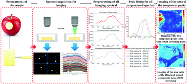 Graphical abstract: Visualization of the in situ distribution of contents and hydrogen bonding states of cellular level water in apple tissues by confocal Raman microscopy