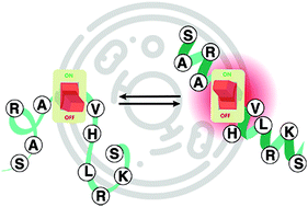 Graphical abstract: Photoswitchable peptides for spatiotemporal control of biological functions