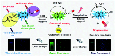 Graphical abstract: Stepwise dual stimuli triggered dual drug release by a single naphthalene based two-photon chromophore to reverse MDR for alkylating agents with dual surveillance in uncaging steps