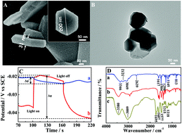 Graphical abstract: A design for the photoelectrochemical detection of miRNA-221 based on a tungsten diselenide–cysteine–dopamine nanoprobe coupled with mismatched catalytic hairpin assembly target recycling with ultra-low background noise