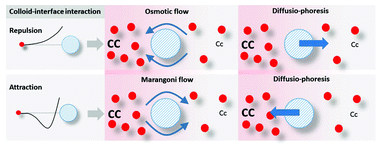 Graphical abstract: Interfacially driven transport theory: a way to unify Marangoni and osmotic flows