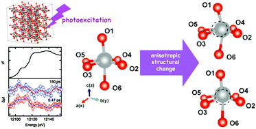 Graphical abstract: Photoinduced anisotropic distortion as the electron trapping site of tungsten trioxide by ultrafast W L1-edge X-ray absorption spectroscopy with full potential multiple scattering calculations