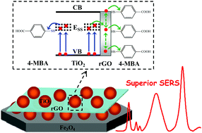 Graphical abstract: Metal-free SERS substrate based on rGO–TiO2–Fe3O4 nanohybrid: contribution from interfacial charge transfer and magnetic controllability