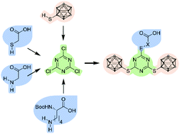 Graphical abstract: Modular triazine-based carborane-containing carboxylic acids – synthesis and characterisation of potential boron neutron capture therapy agents made of readily accessible building blocks