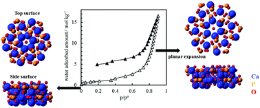 Graphical abstract: Irreversible adsorption of acidic, basic, and water gas molecules on calcium-deficient hydroxyapatite