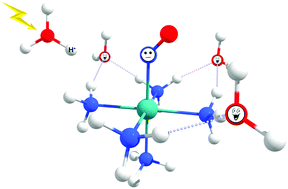 Graphical abstract: How does the acidic milieu interfere in the capability of ruthenium nitrosyl complexes to release nitric oxide?