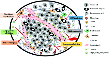 Graphical abstract: The pharmaceutical multi-activity of metallofullerenol invigorates cancer therapy