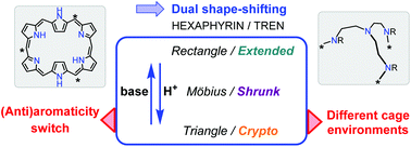 Graphical abstract: Acid–base controlled multiple conformation and aromaticity switches in tren-capped hexaphyrins