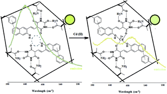 Graphical abstract: A new bio-compatible Cd2+-selective nanostructured fluorescent imprinted polymer for cadmium ion sensing in aqueous media and its application in bio imaging in Vero cells