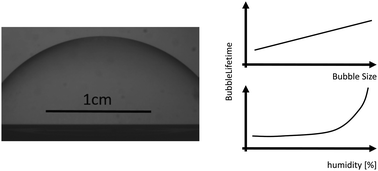 Graphical abstract: Stability of big surface bubbles: impact of evaporation and bubble size