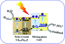 Graphical abstract: A homojunction–heterojunction–homojunction scaffold boosts photocatalytic H2 evolution over Cd0.5Zn0.5S/CoO hybrids