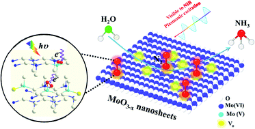 Graphical abstract: Plasmon-driven N2 photofixation in pure water over MoO3−x nanosheets under visible to NIR excitation