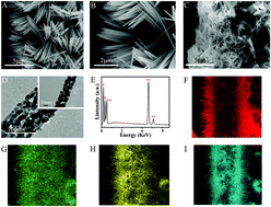 Graphical abstract: Novel ratiometric electrochemical sensor for no-wash detection of fluorene-9-bisphenol based on combining CoN nanoarrays with molecularly imprinted polymers