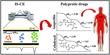 Graphical abstract: Determination of acidity constants at 37 °C through the internal standard capillary electrophoresis (IS-CE) method: internal standards and application to polyprotic drugs