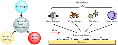 Graphical abstract: Evaluating medical device and material thrombosis under flow: current and emerging technologies